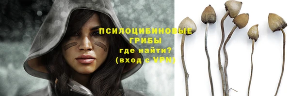 спайс Покачи