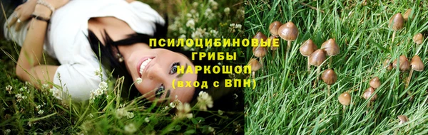 спайс Покачи